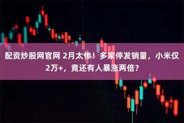 配资炒股网官网 2月太惨！多家停发销量，小米仅2万+，竟还有人暴涨两倍？